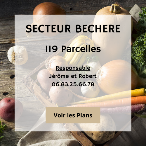 BECHERE