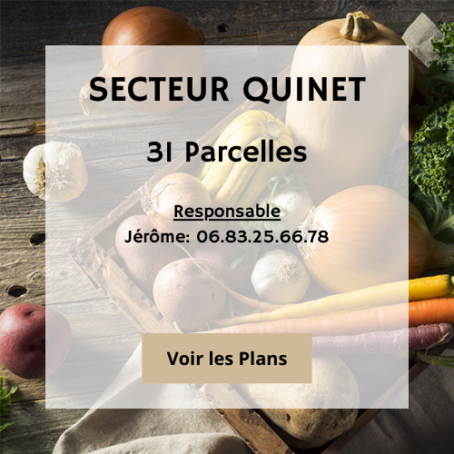 QUINET